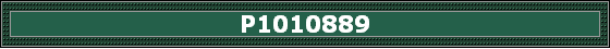 P1010889