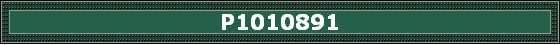 P1010891