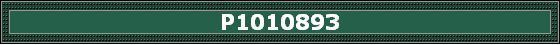 P1010893