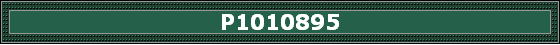 P1010895