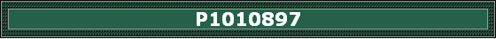 P1010897