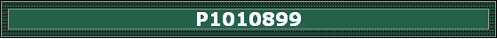 P1010899
