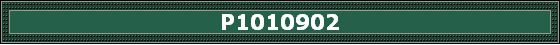 P1010902