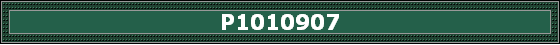 P1010907