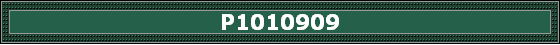 P1010909