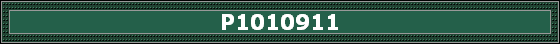 P1010911