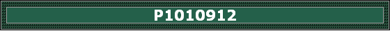 P1010912