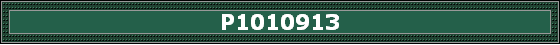 P1010913