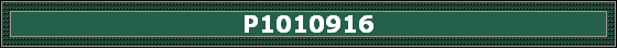 P1010916