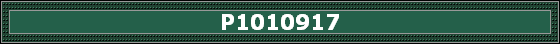 P1010917