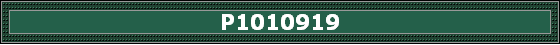 P1010919