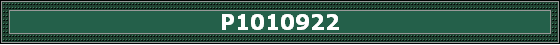 P1010922