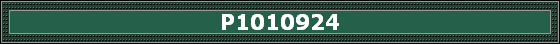 P1010924