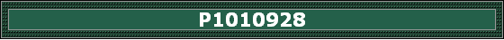 P1010928
