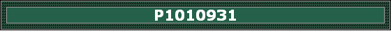 P1010931