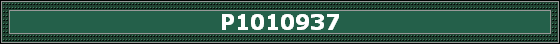 P1010937