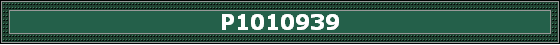 P1010939