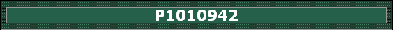 P1010942