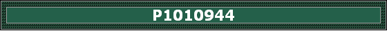 P1010944