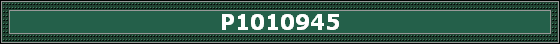 P1010945