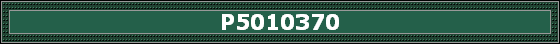 P5010370