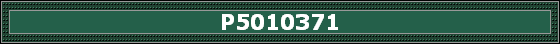 P5010371