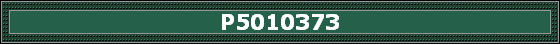 P5010373
