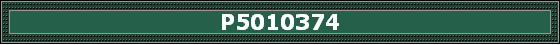 P5010374