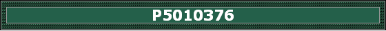 P5010376