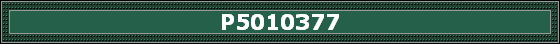 P5010377