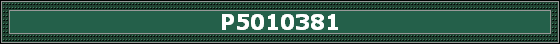 P5010381