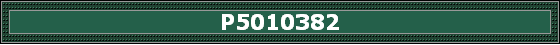 P5010382