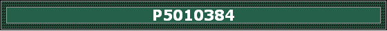 P5010384