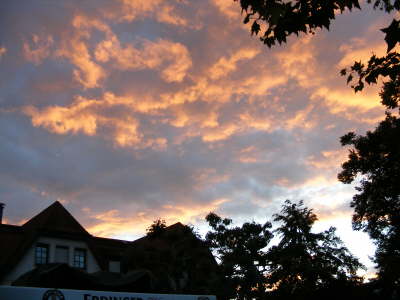 DSCF0720