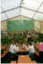 Upfingen15